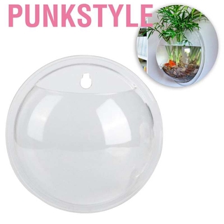 Bể Cá Mini Treo Tường 15cm