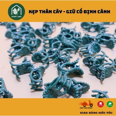 Kẹp thân cây giữ cố định dùng cho lan, các dòng cây thân leo, cây cảnh trong nhà & sân vườn