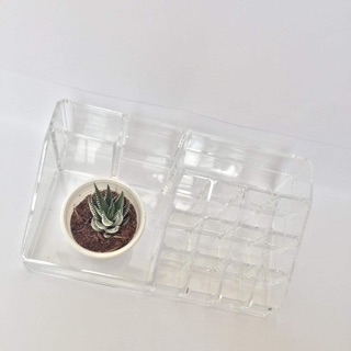 Khay mica đựng mực phun xăm| Dụng Cụ Phun  Xăm