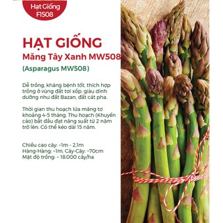 COMBO 3 GÓI HẠT GIỐNG MĂNG TÂY XANH MW508