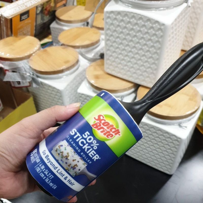 cây lăn bụi mỹ scotch-brite