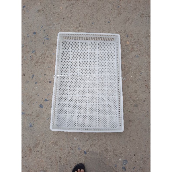 khay ra nở trứng gà vịt - loại trung quốc