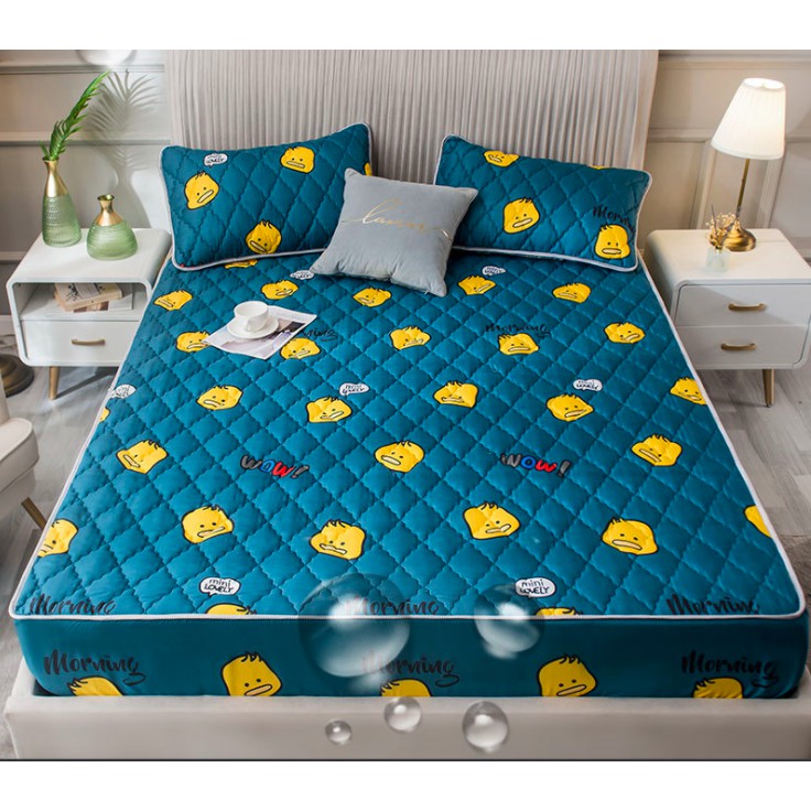 Ga Chống Thấm Cotton Cao Cấp + Gối
