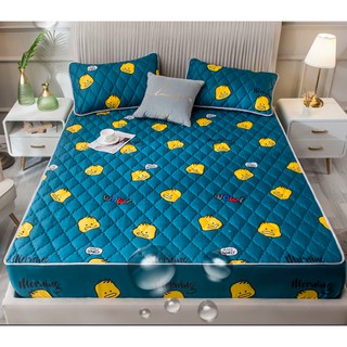Ga chống thấm cotton cao cấp + gối