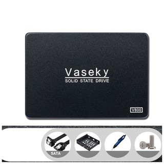 Ổ SSD Vaseky V800 120G