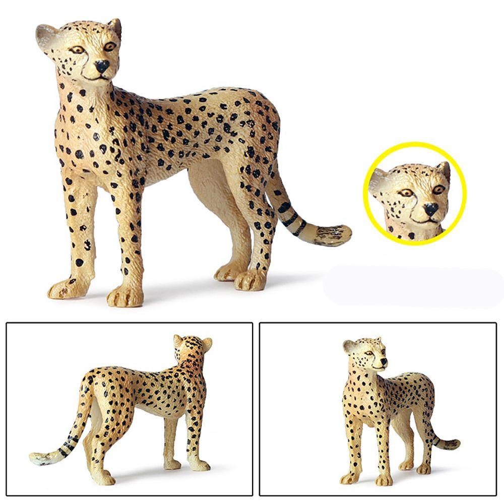 Mô Hình Động Vật Hoang Dã Giáo Dục Sớm Cho Bé