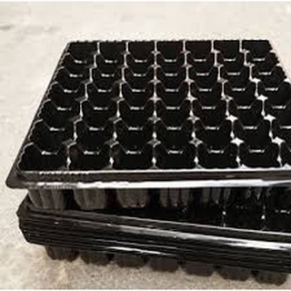 Khay ươm hạt giống đa năng 72 lỗ