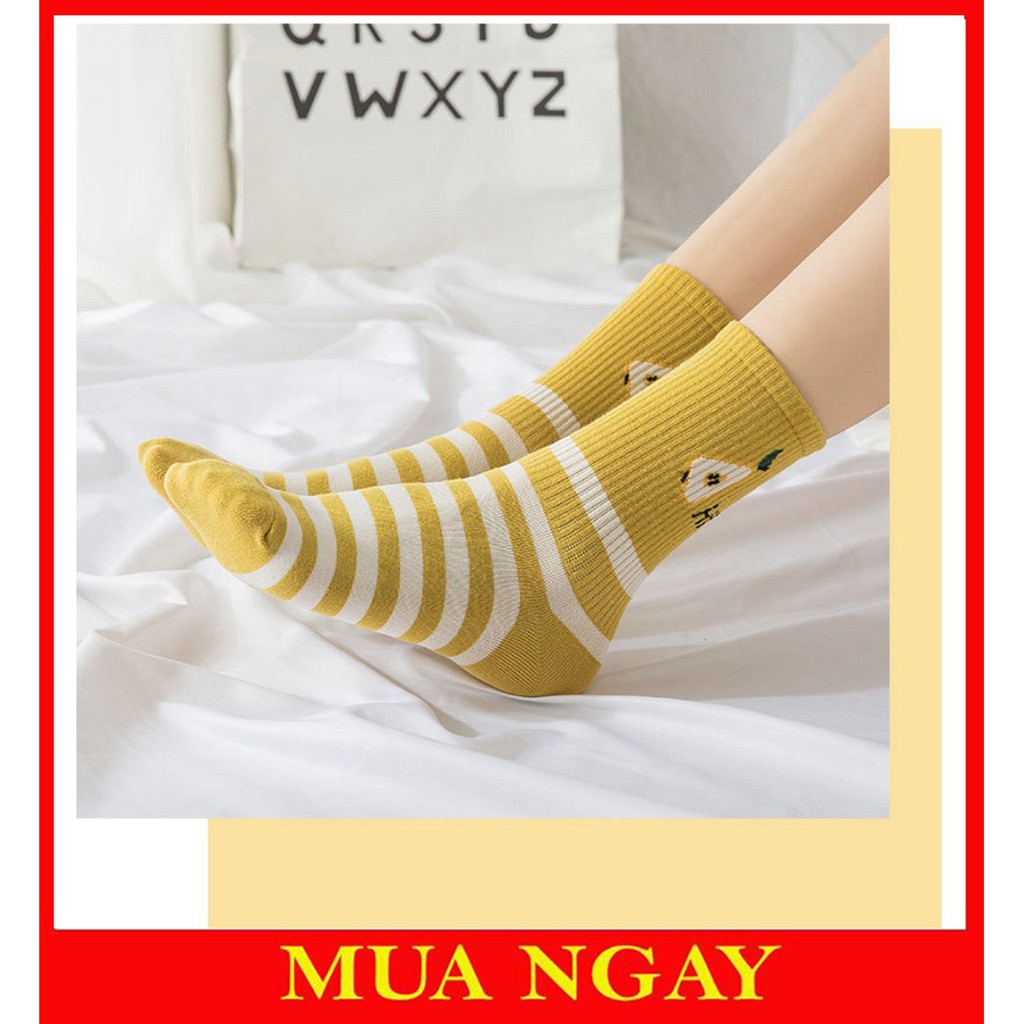 [Mẫu mới] Vớ tất nữ cute dễ thương TN104