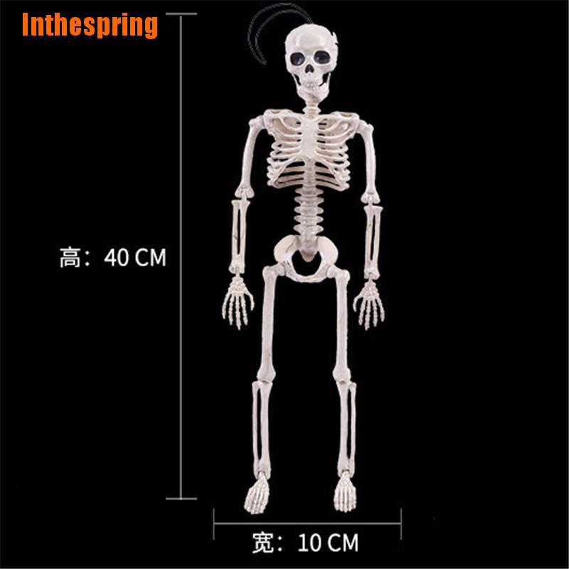 Xương Trang Trí Halloween