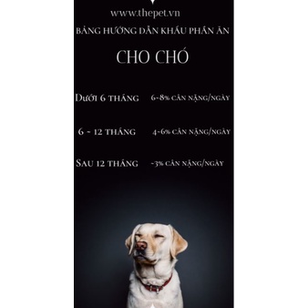 [CHÍNH HÃNG] PATE TƯƠI THE PET CHO CHÓ MÈO - HỘP 1KG