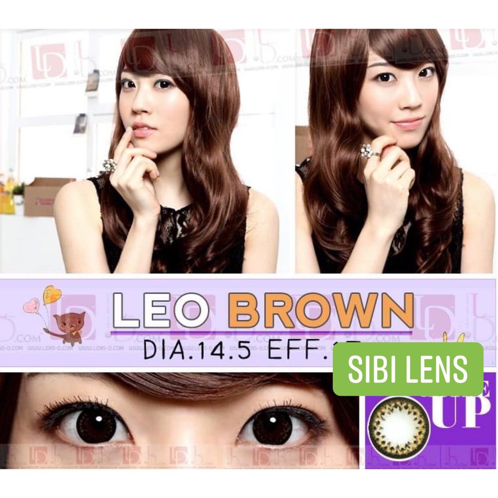 Lens Leo Brown - Lens Chuẩn Thái  - Cam Kết Chính Hãng