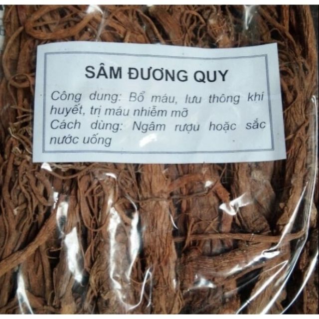 Sâm Đương Quy Tươi 1Kg