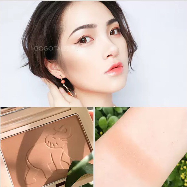 Phấn tạo khối bắt sáng GOGO TALES Light And Shadow Decoration Contouring Palette Stereo Makeup GT520 GOGO161