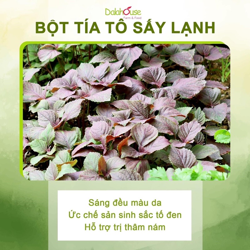 Bột tía tô Dalahouse (hộp 20 gói)
