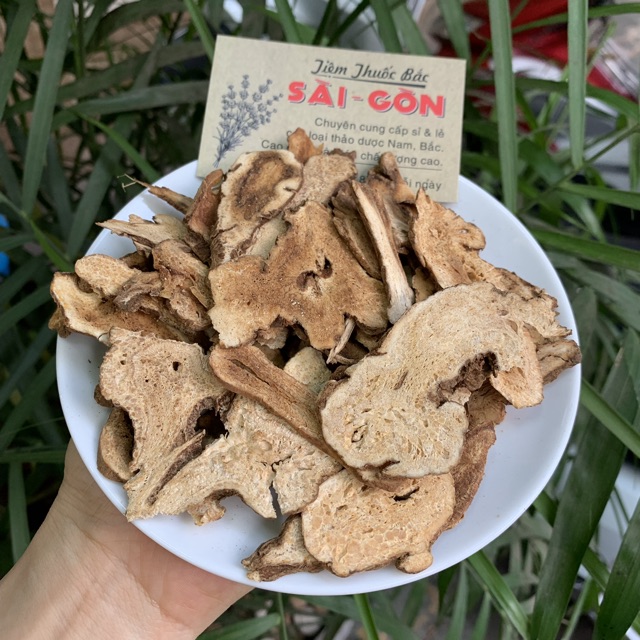 Bạch Truật 100g (Hàng mới, đẹp)