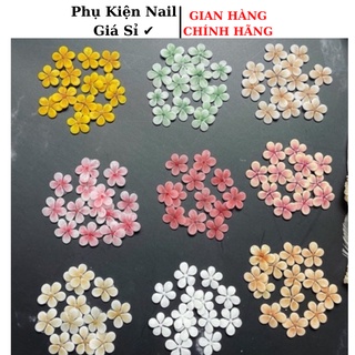 Hoa mai nhí gắn móng trang trí móng