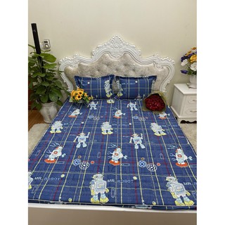 Bộ ga chun trần bông cotton Hàn Quốc cao cấp
