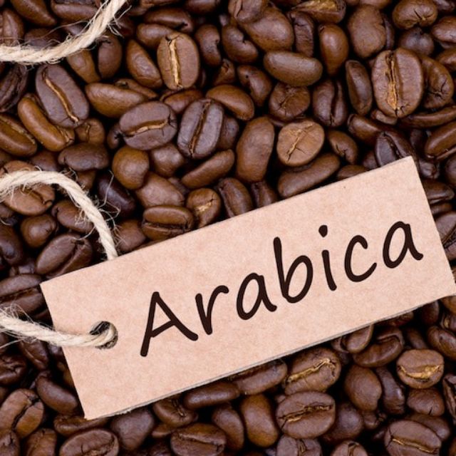 CAFE Arabica ĐẶC SẢN ĐAKLAK