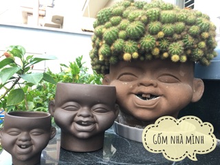 Chậu Tí sún đất nung size đại
