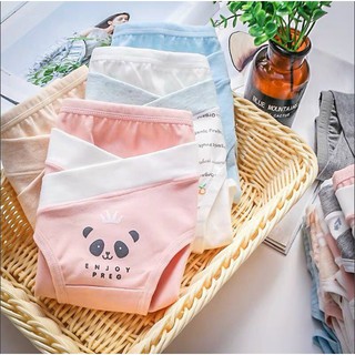 {COMBO 4 QUẦN} QUẦN LÓT BẦU COTTON CO GIÃN 4 CHIỀU