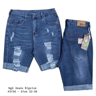 Quần ngố jean rách giãn Bigsize