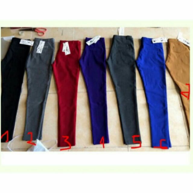 combo 6 quần dài cotton