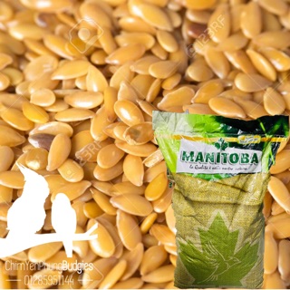 1KG HẠT LANH VÀNG MANITOBA_XUẤT XỨ: Ý