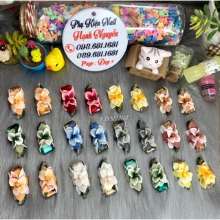Hoa bột trang trí móng nails :25.000/bông - bán 2 bông=50.000