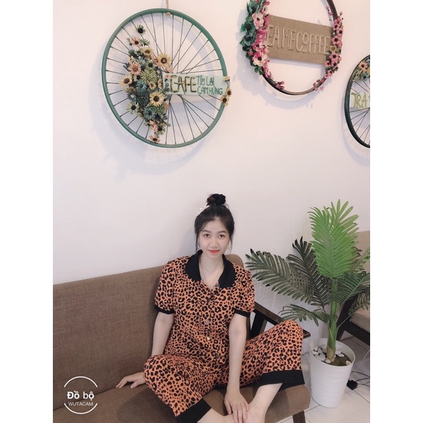 ❌FREE SHIP❌Đồ bộ tay ngắn mặc nhà, Đồ bộ tay ngắn cổ sen mặc nhà