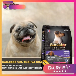 Thức Ăn Khô Ganador Puppy 400G Thức Ăn Cho Chó Vị Sữa - Bobo Pet Shop Hà Nội