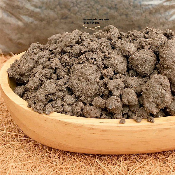 Đất Thịt Trồng Rau, Cây  TẶNG 200gr Trấu