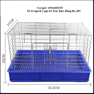 Chuồng GP, chuồng thỏ, chuồng chuột lang, chuồng bọ ú size 57 x 37 x 34 cm