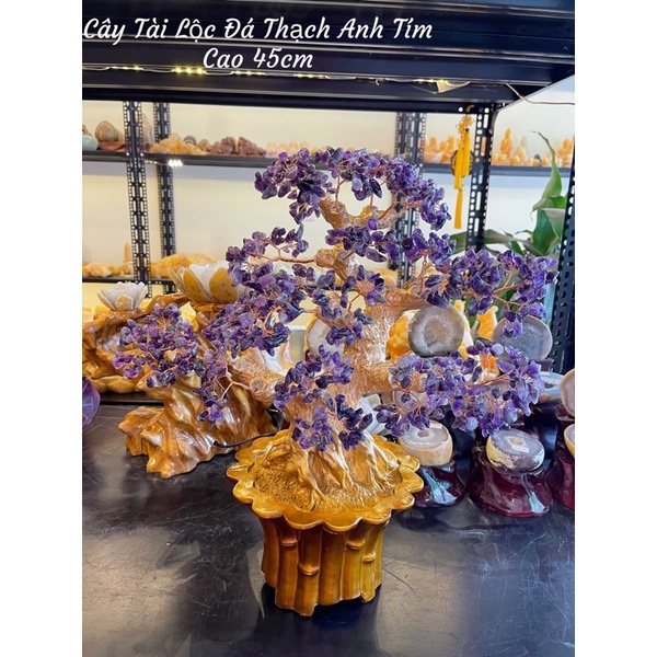 Cây Đá Tài Lộc Nhiều Màu Sắc Phong Thuỷ