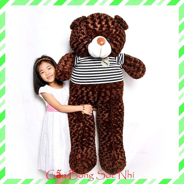 Gấu Bông Teddy Size 1m4 Siêu To  FREESHIP  Gấu Bông Sóc Nhí