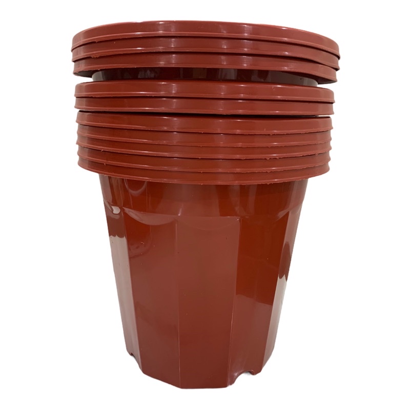 CHẬU NHỰA TRỒNG CÂY, ƯƠM CÂY NÂU 10 cái E300( 26x24cm)