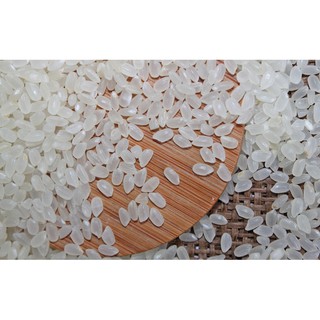 GẠO JAPONICA Giống Nhật 5KG, Gạo Làm Sushi KimBab