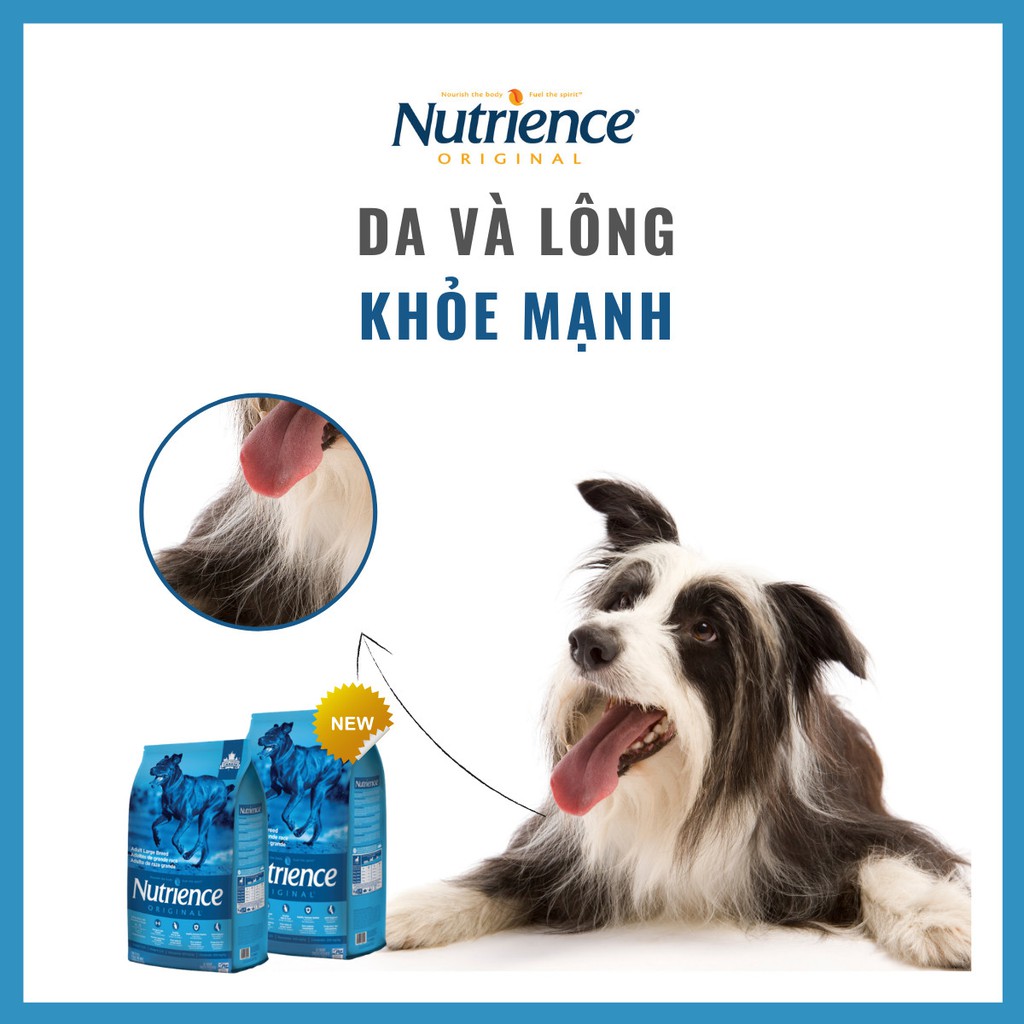 Thức Ăn Cho Chó Size Đại - Hỗ Trợ Xương Cơ Khớp Nutrience Original Bao 11,5kg - Thịt Gà, Gạo Lứt, Rau Củ, Trái Cây