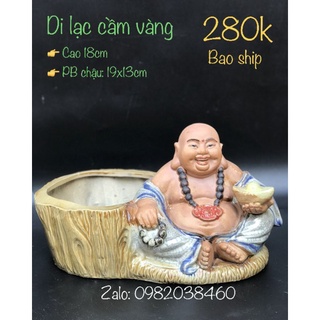 Chậu tượng bonsai Di lặc