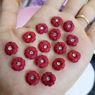 Hoa đậu ( gạt ảnh xem màu)