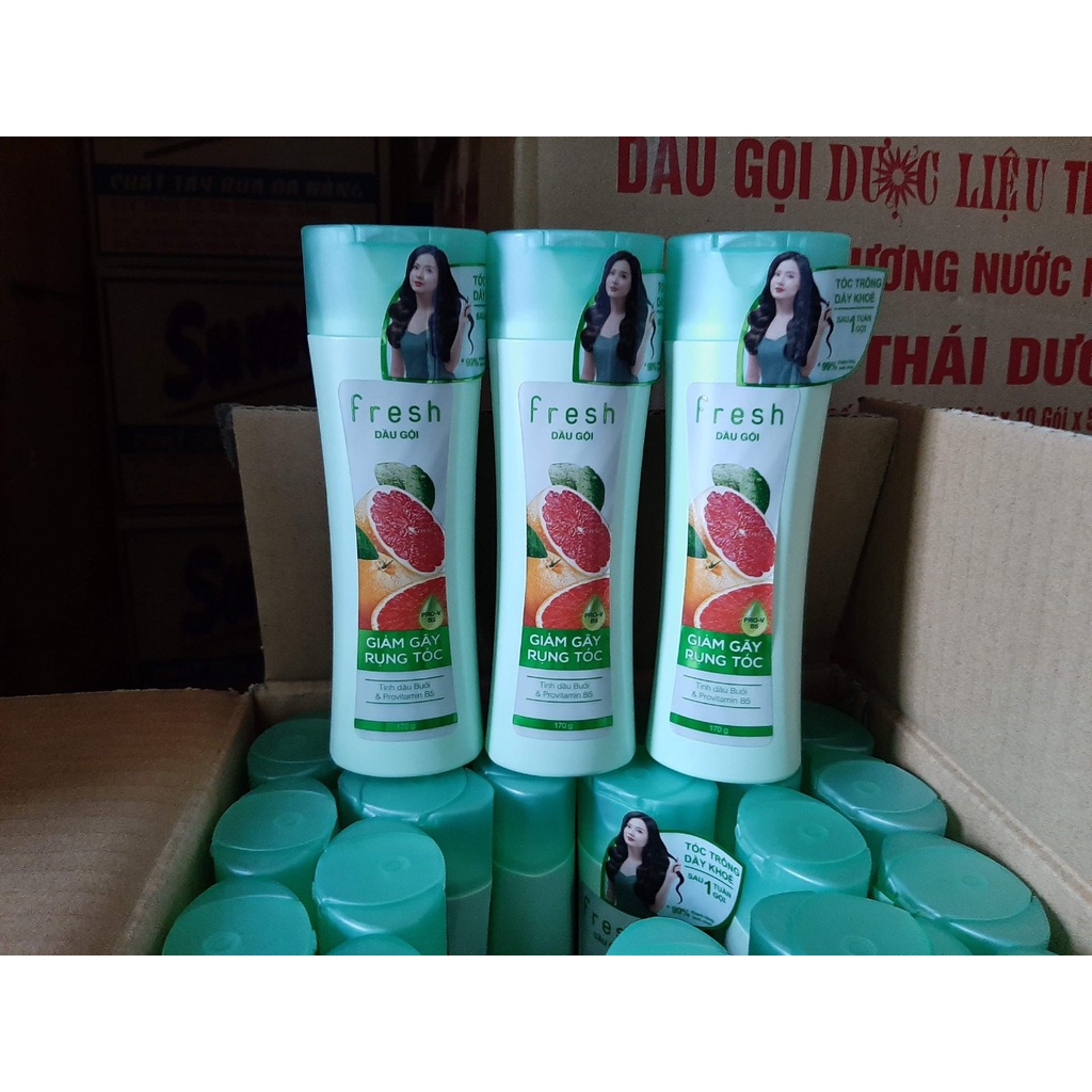 Dầu Gội Đầu Fresh Tinh Dầu Bưởi &amp; Provitamin B5 170g