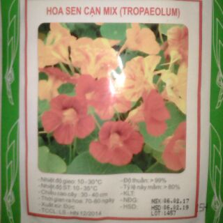 Hạt Giống hoa sen cạn mix