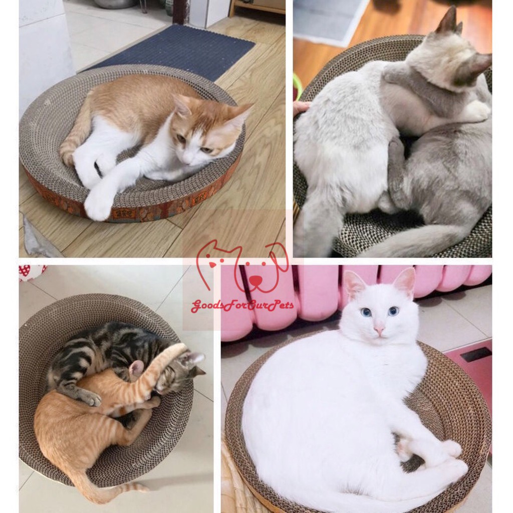 Bàn cào móng cho mèo kết hợp ổ nằm đủ các mẫu