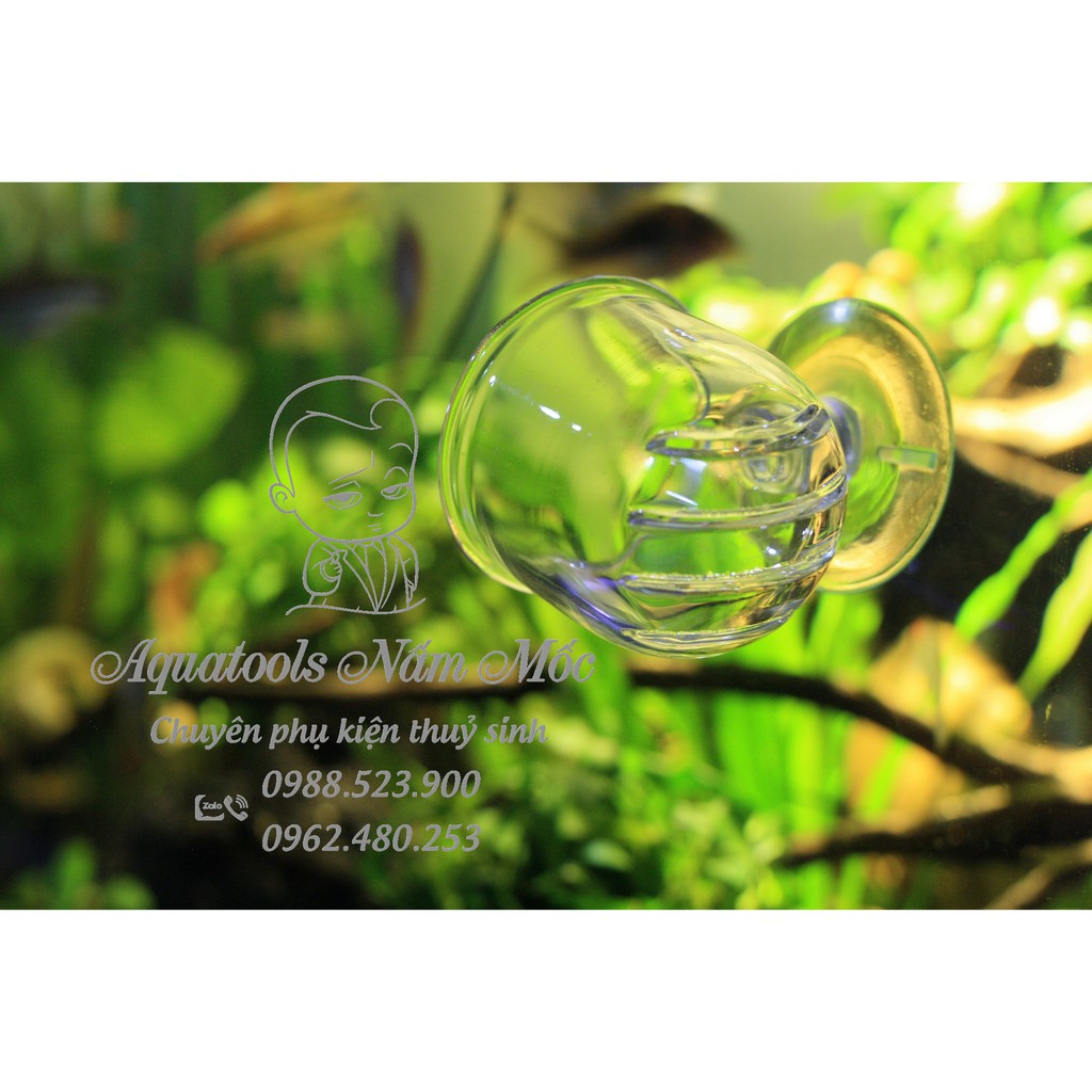 Cốc Trùn Thuỷ Tinh | Cốc Đựng Trùn Cho Cá Ăn | Phụ kiện thuỷ sinh Nấm Aquatools