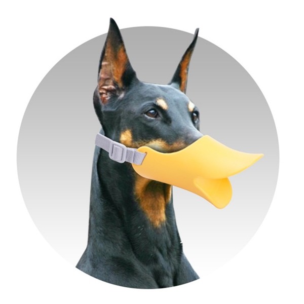 Rọ mõm chó mỏ vịt