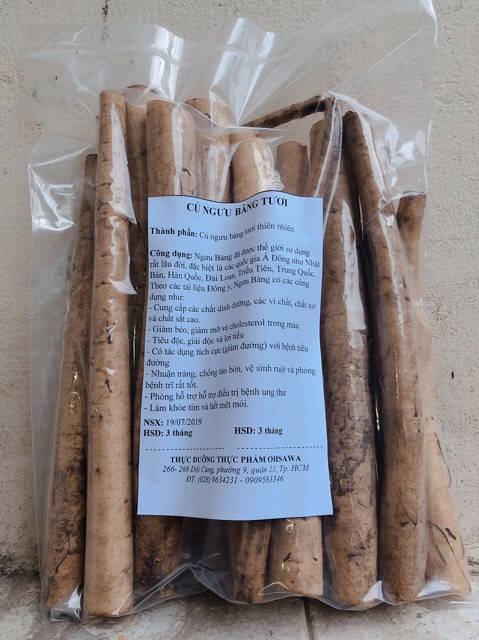 Củ Ngưu Bàng Tươi 1 Kg