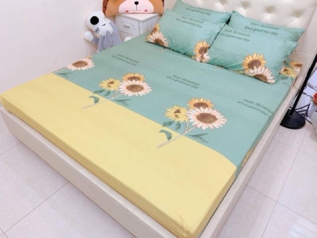 BỘ GA GỐI COTTON POLY 3D - HOA HƯỚNG DƯƠNG