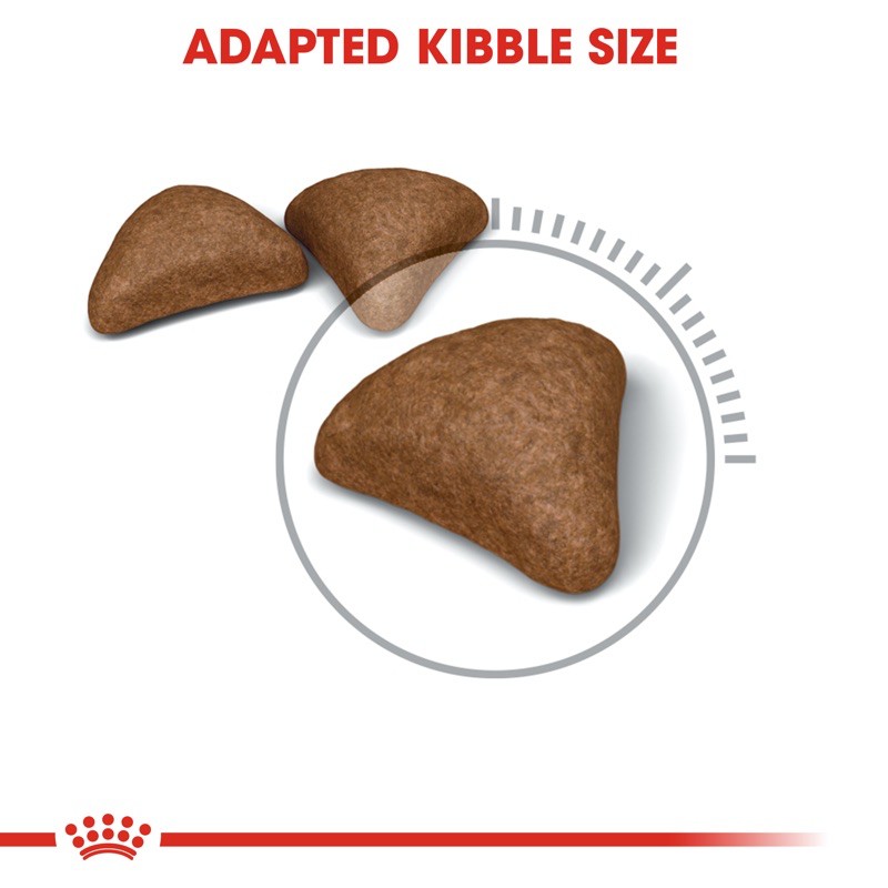 Royal Canin HairBall Hạt tiêu búi lông cho mèo
