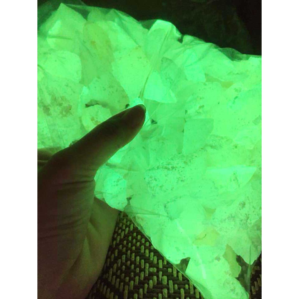 Đá Dạ Quang Độc Đáo Tiện Dụng Trang Trí Bể Cá