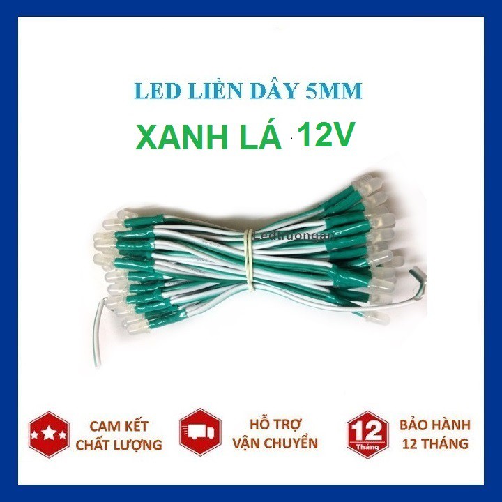 Led liền dây 5mm 12V - Led ruồi 5mm làm biển led vẫy - led cuộn 100 bóng - dùng nguồn 12v