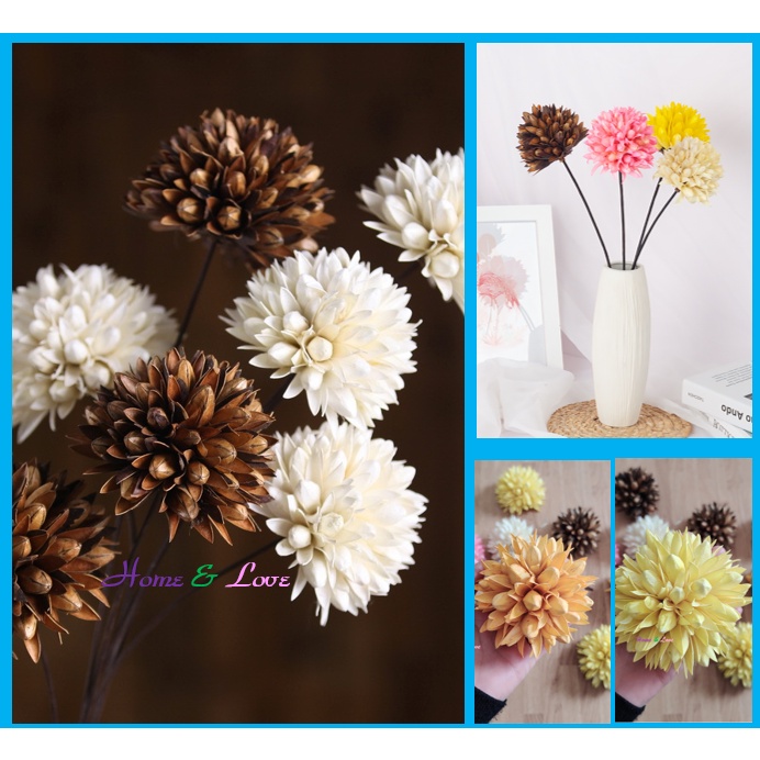 🌿Hoa Gỗ Khô Mộc Lan/Magnolia Ball 🌿 Decor Trang trí Hoa Nghệ thuật Phong Cách Vintage